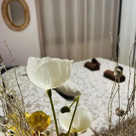 Apartment Albona 77 Rome